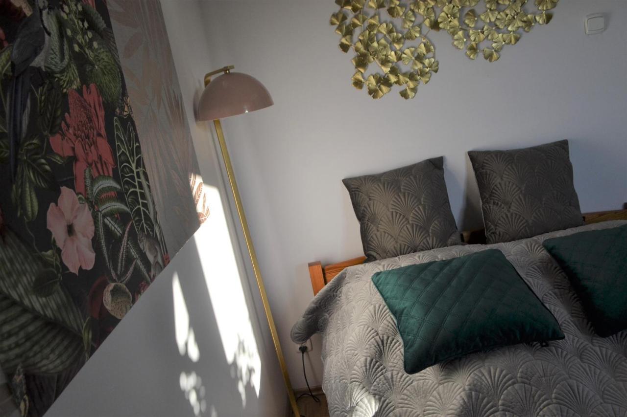 Appartement Aloes *