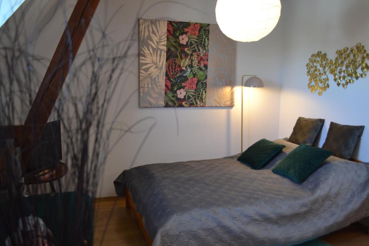 Appartement Aloes *