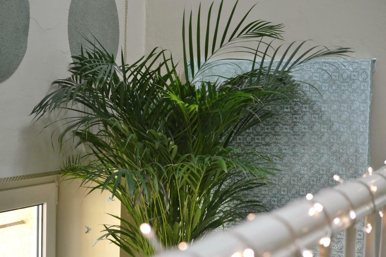 Appartement Aloes